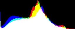 Histogram